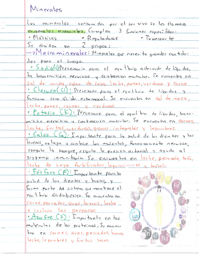 Miniatura del documento Resumen-Minerales.pdf