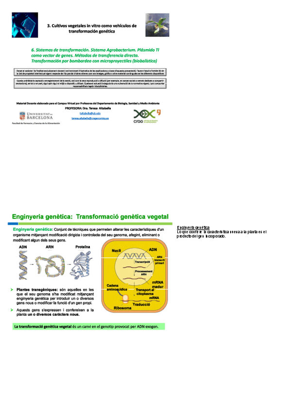 Miniatura del documento T.pdf