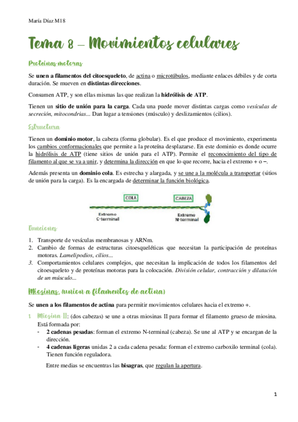 Miniatura del documento t8.pdf