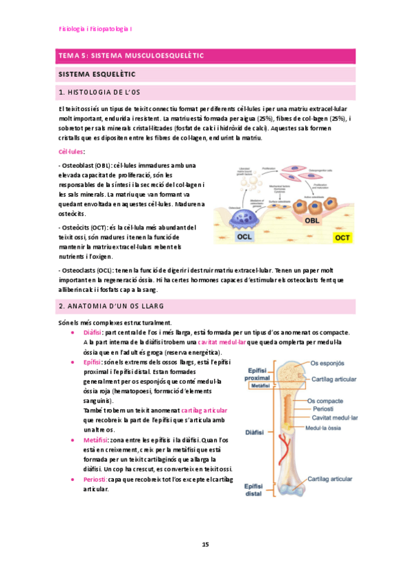 Miniatura del documento Bloc-3-5-7.pdf