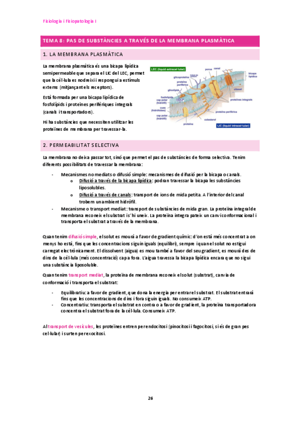 Miniatura del documento Bloc-4-8-12.pdf