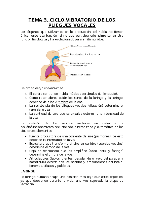 Miniatura del documento T-3-CICLO-VIBRATORIO.docx
