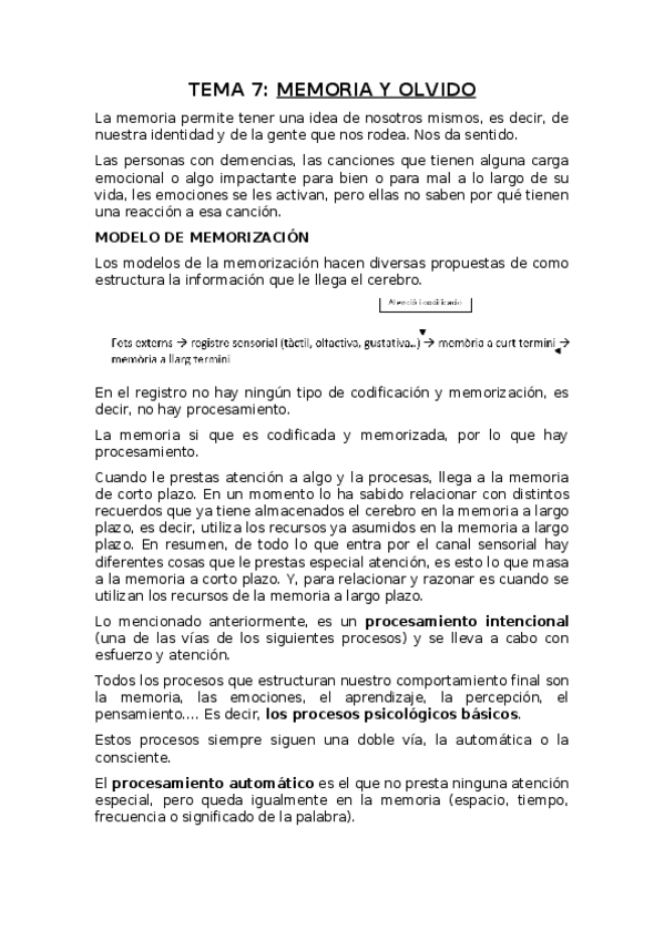 Miniatura del documento T-7-MEMORIA-Y-OLVIDO.docx