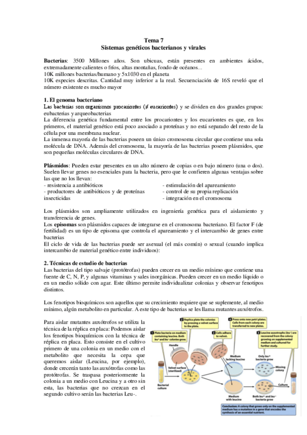 Miniatura del documento TEMA-7.pdf