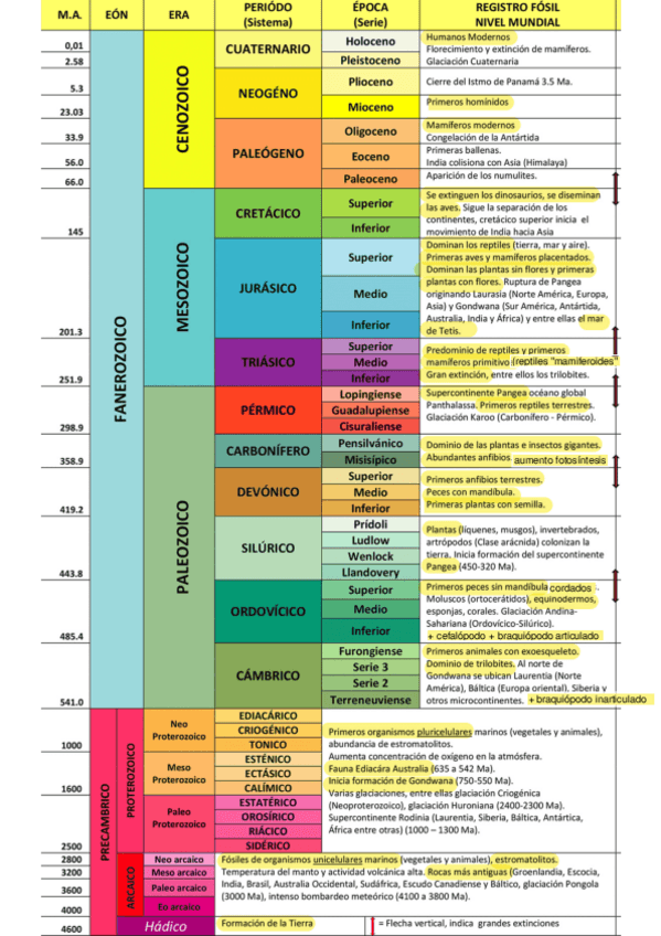 Miniatura del documento EJE-CRONOLOGICO.pdf