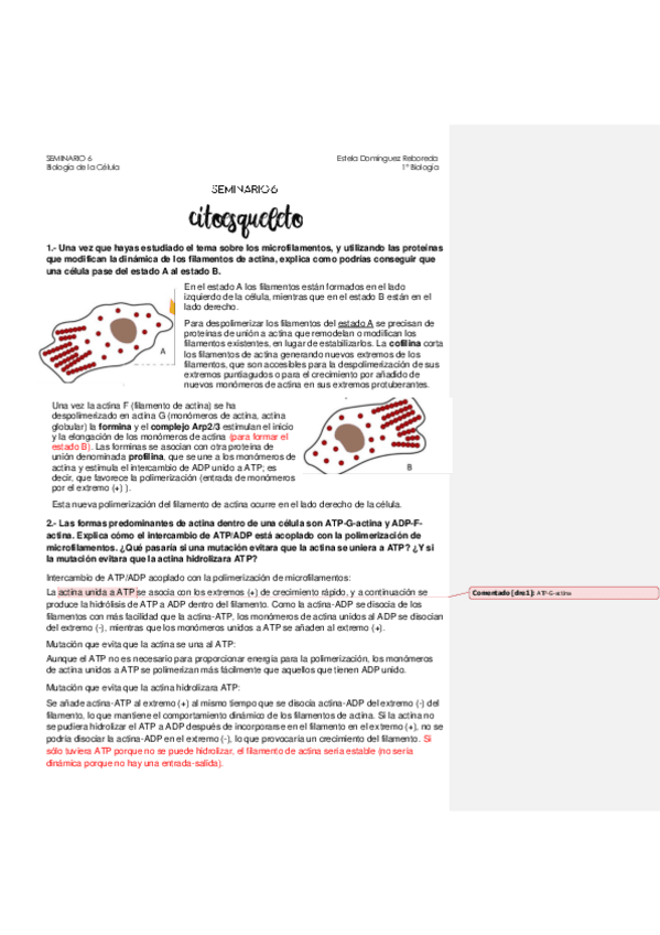 Miniatura del documento Seminario-6.pdf