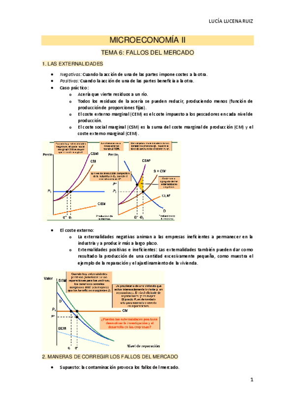 Miniatura del documento TEMA-6-MICROECONOMIA-II.pdf