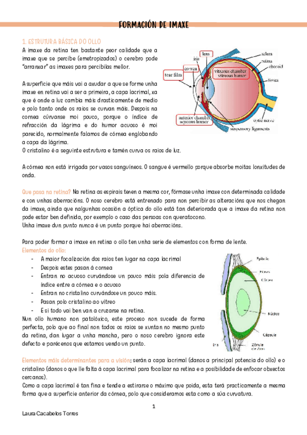 Miniatura del documento apuntes-visual.pdf