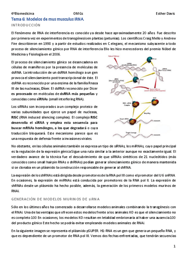 Miniatura del documento Tema-6-Modelos-de-mus-musculus-RNAi.pdf