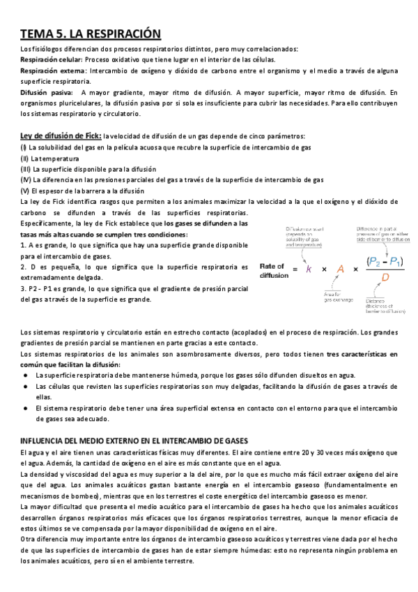 Miniatura del documento TEMA-5ANIMAL.pdf