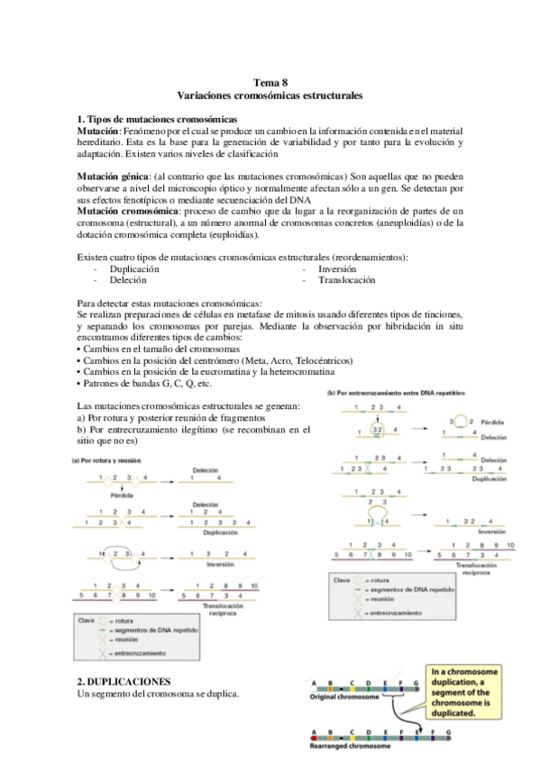 Miniatura del documento TEMA-8.pdf