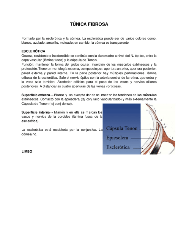 Miniatura del documento TEMA-42-43.pdf