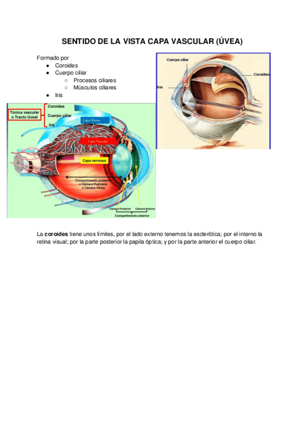 Miniatura del documento TEMA-39.pdf