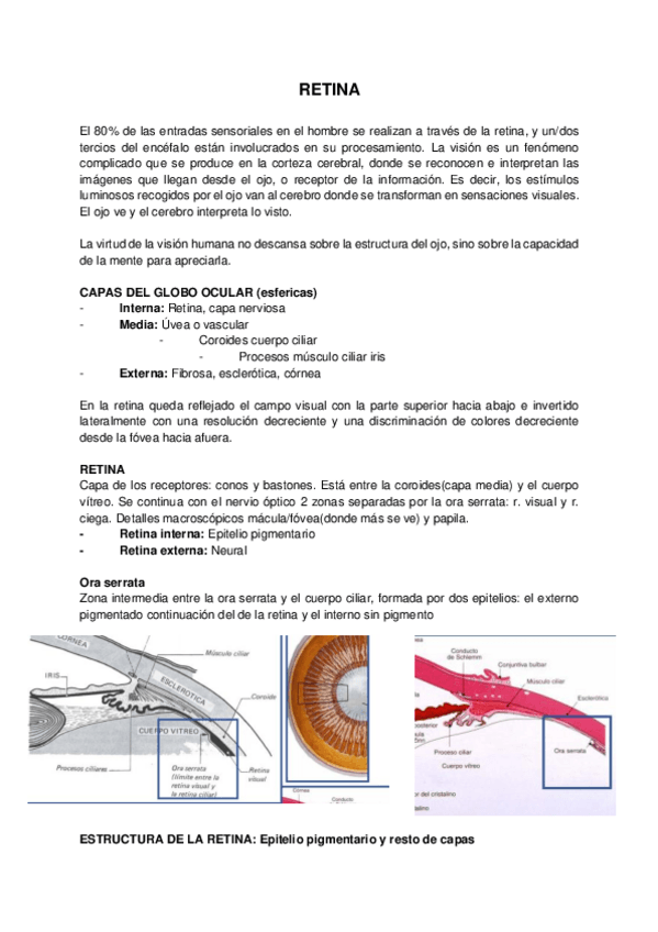 Miniatura del documento TEMA-37.pdf