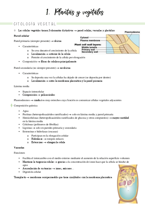 Miniatura del documento temas-1-3.pdf