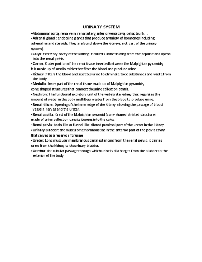 Miniatura del documento URINARY-SYSTEM.pdf