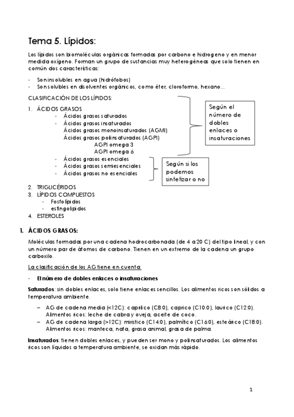 Miniatura del documento segundo-parcia.pdf