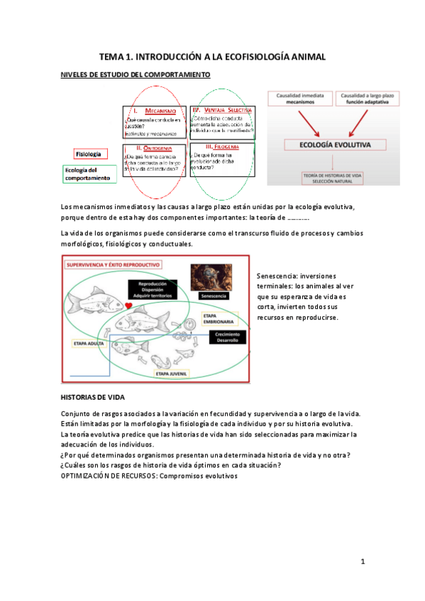 Miniatura del documento TEMA-1.pdf