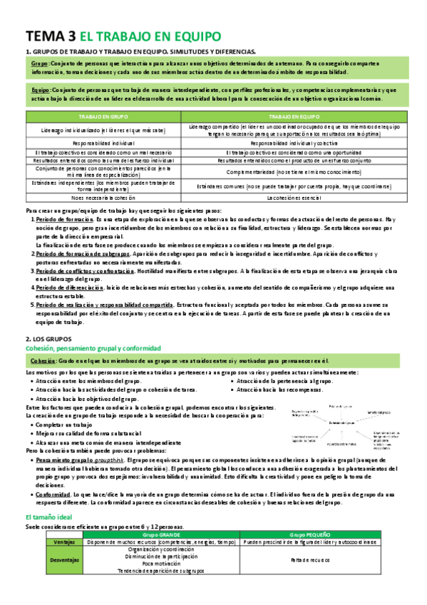Miniatura del documento Tema-3-El-trabajo-en-equipo.pdf