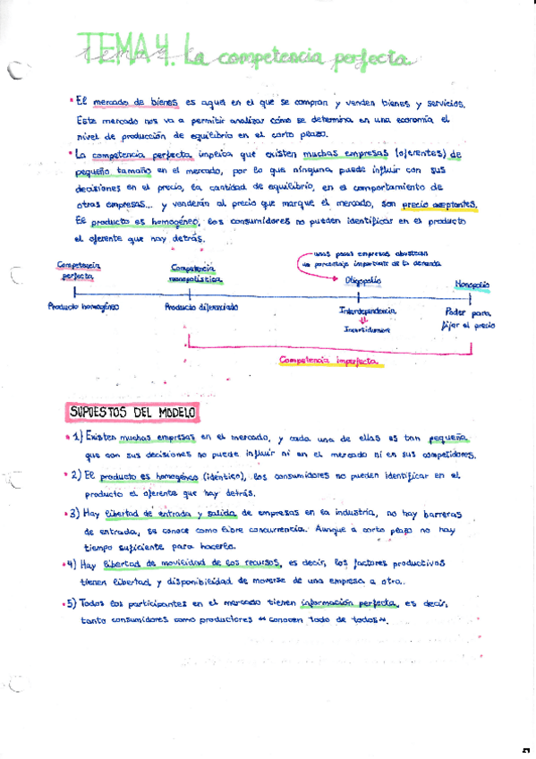 Miniatura del documento TEMA-4.pdf