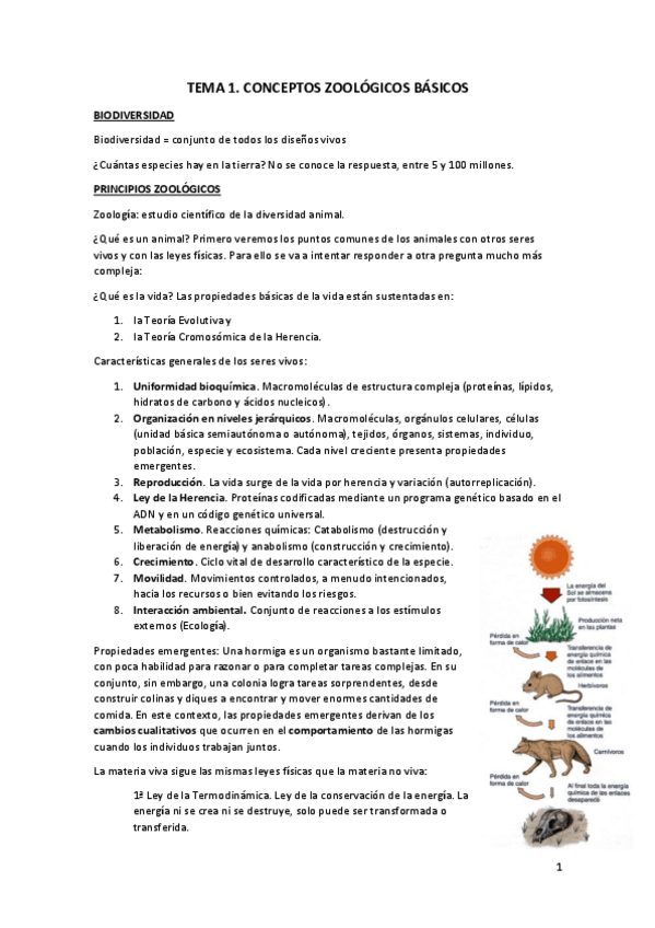 Miniatura del documento TEMA-1.pdf