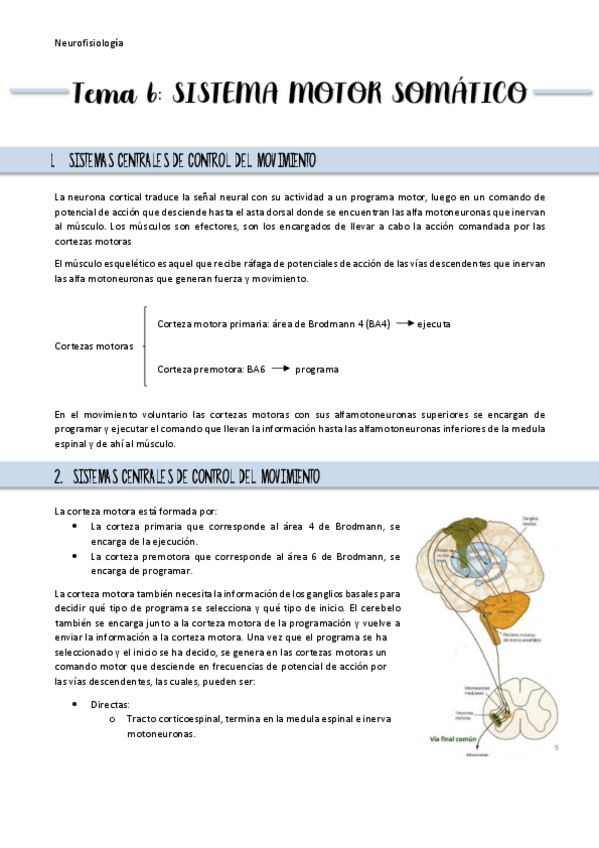 Miniatura del documento Resumen-Tema-6.pdf