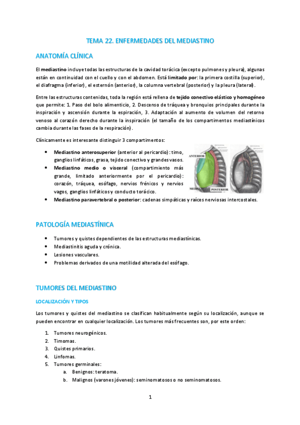 Miniatura del documento T22-Enfermedades-del-mediastino.pdf