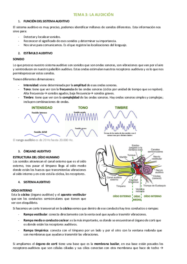 Miniatura del documento FISIO-TEMA-3.pdf