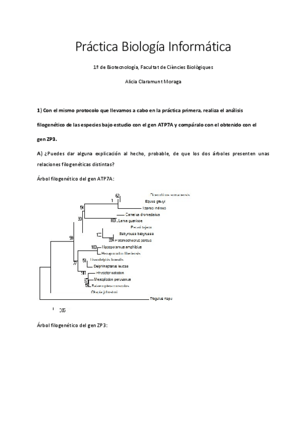 Miniatura del documento Bioinformatica.pdf