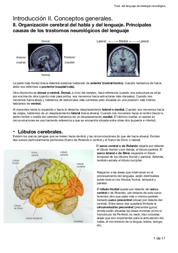 Miniatura del documento Introduccion-II.pdf