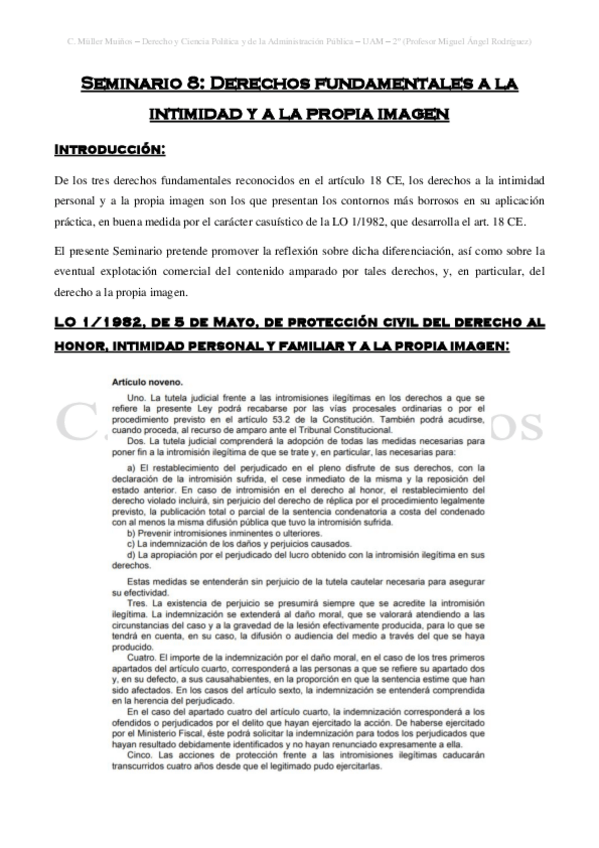 Miniatura del documento Seminario-8-Derechos-Fundamentales-a-la-intimidad-y-propia-imagen.pdf