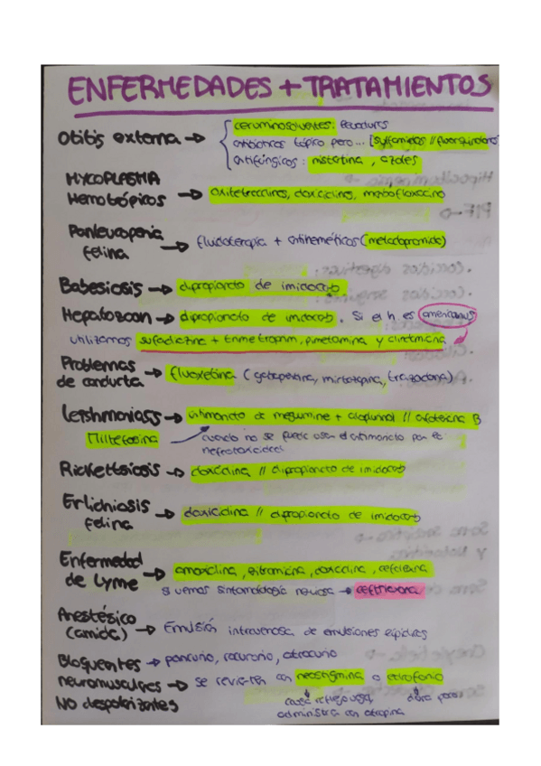 Miniatura del documento ESQUEMAS-TRATAMIENTOS.pdf