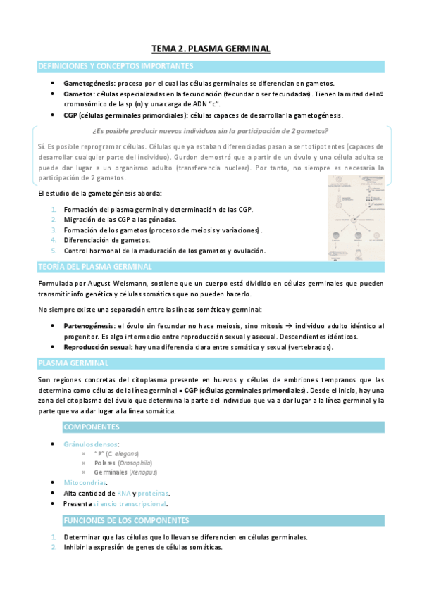 Miniatura del documento TEMA-2.pdf