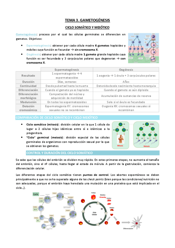 Miniatura del documento TEMA-3.pdf
