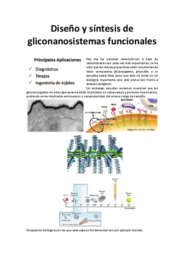 Miniatura del documento Diseño y síntesis de gliconanosistemas funcionales (1).pdf
