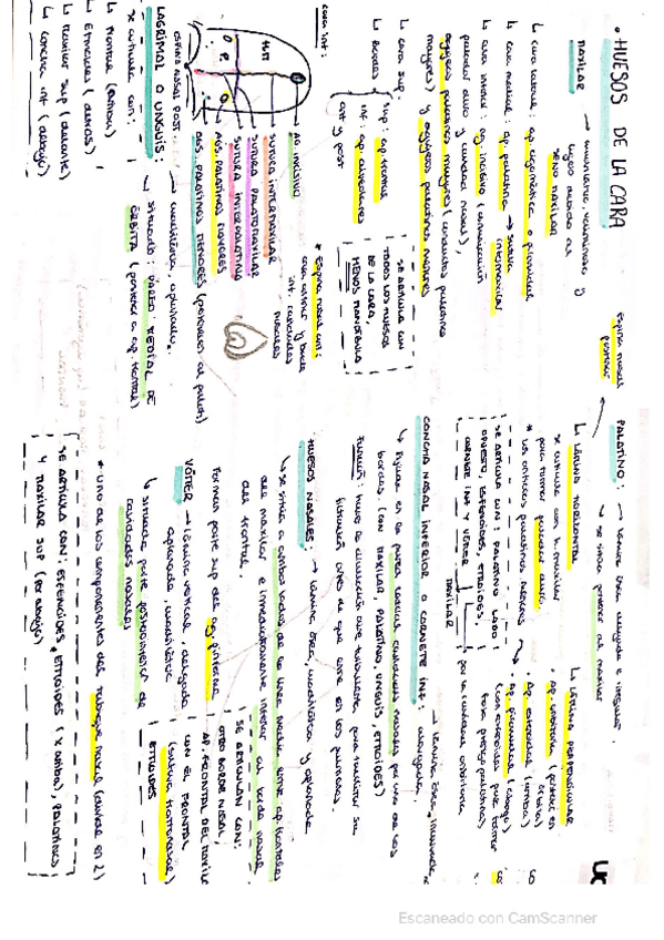 Miniatura del documento CamScanner-11-23-2021-18.pdf