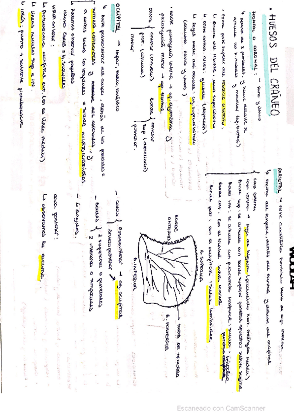 Miniatura del documento CamScanner-11-23-2021-18.pdf