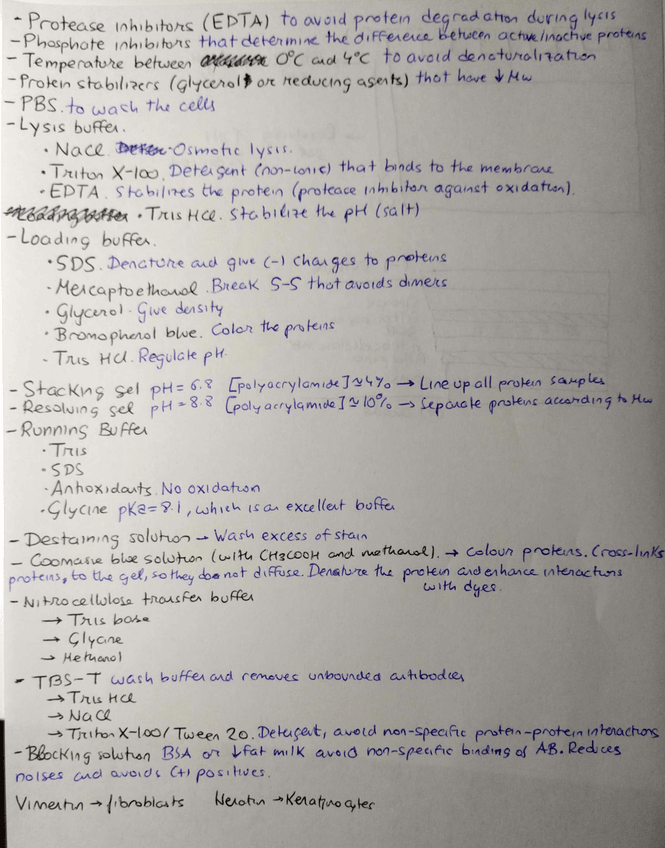 Miniatura del documento CamScanner-11-23-2021-20.jpg