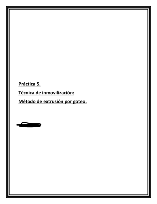 Miniatura del documento Practica-5.pdf