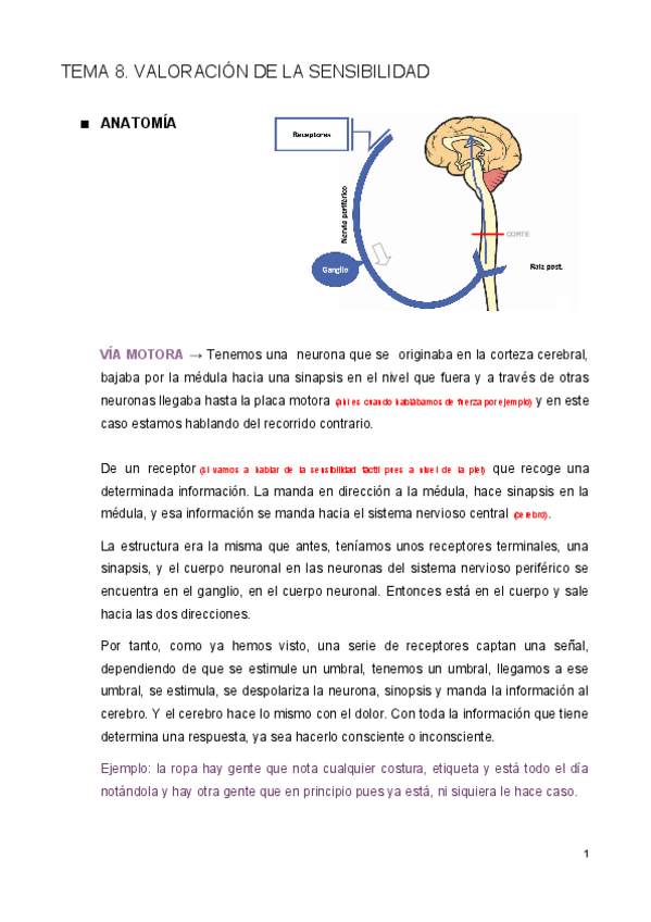 Miniatura del documento Tema-8.pdf
