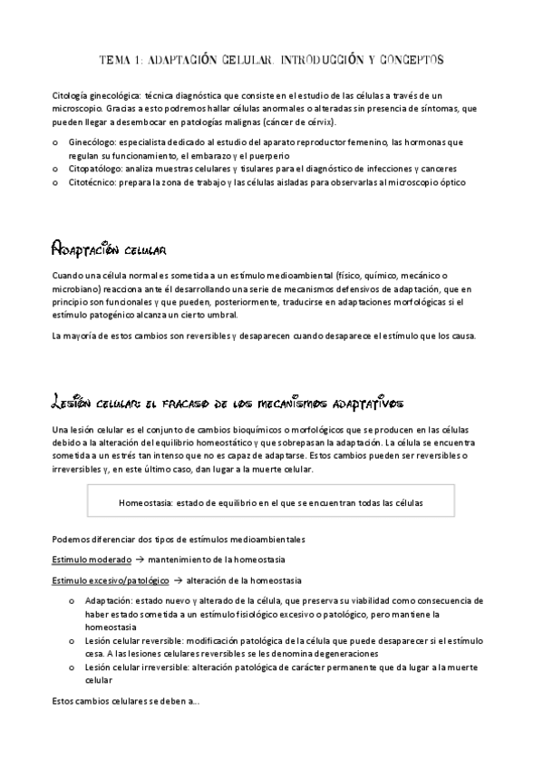 Miniatura del documento Ginecologia.pdf