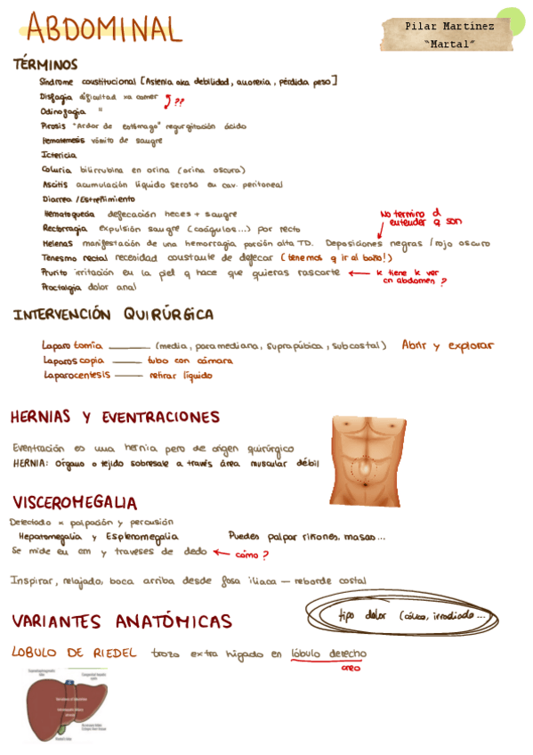 Miniatura del documento ABDOMINAL.pdf