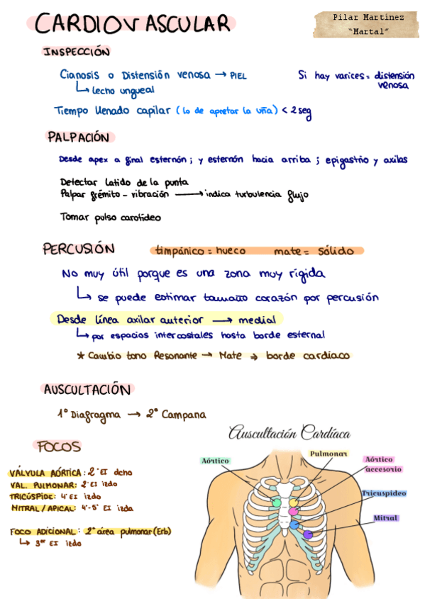 Miniatura del documento PRACTICA-CARDIOVASCULAR-.pdf
