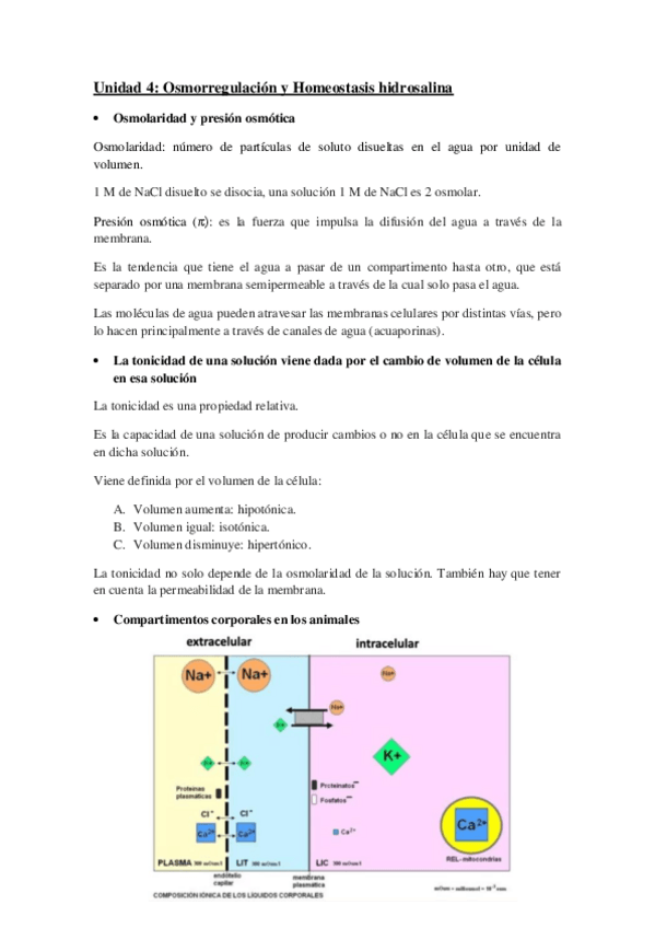 Miniatura del documento Unidad-4-Apuntes-DRV-1.pdf