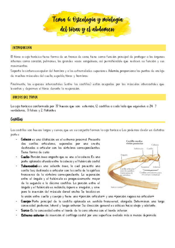 Miniatura del documento Tema-6.pdf