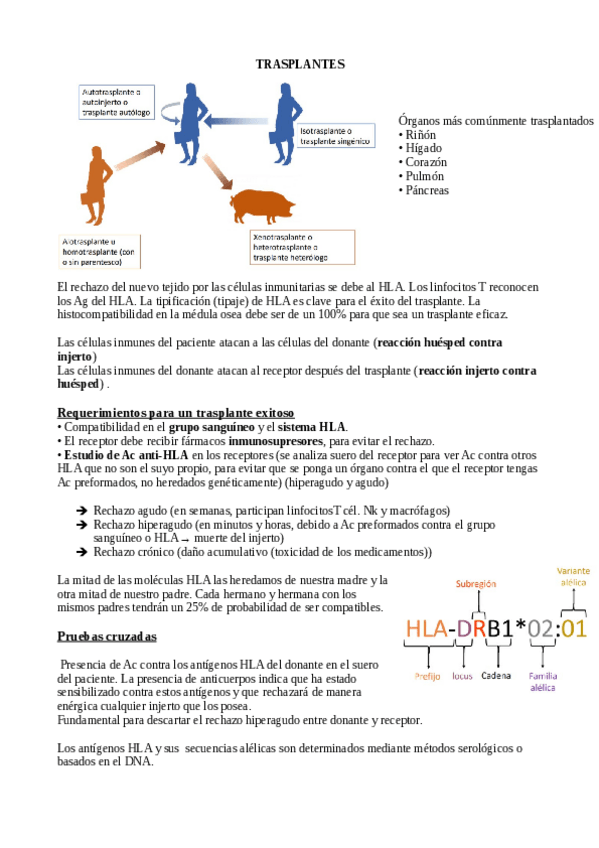 Miniatura del documento Resumenes-seminarios-inmuno-2021.pdf