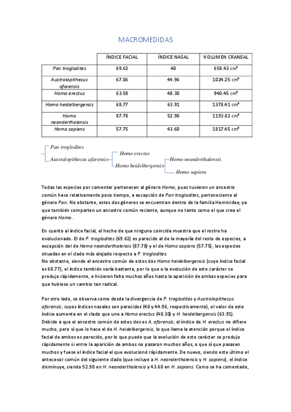 Miniatura del documento macromedidashbb.pdf
