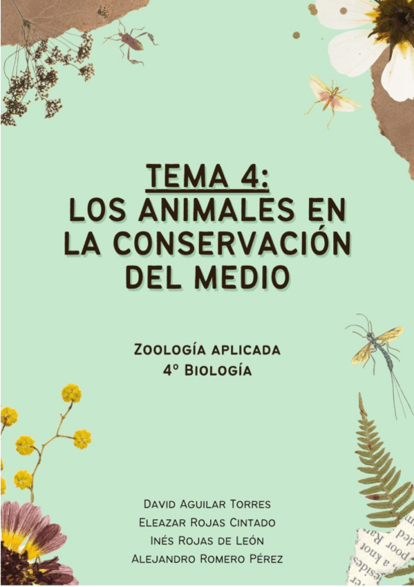 Miniatura del documento TEMA-4.pdf