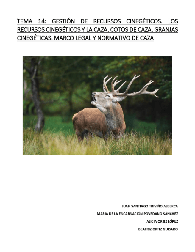 Miniatura del documento TEMA-14.pdf