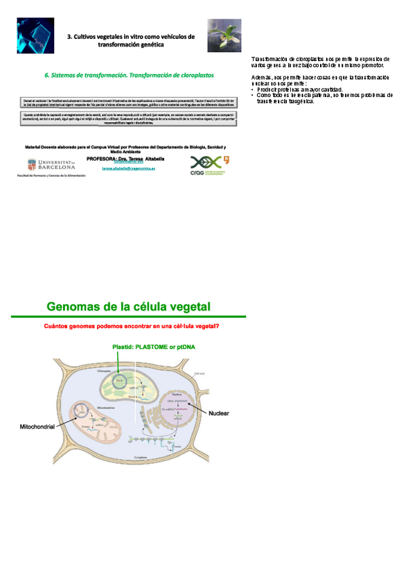 Miniatura del documento T.pdf
